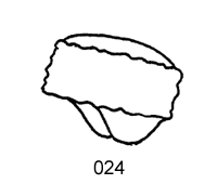 024