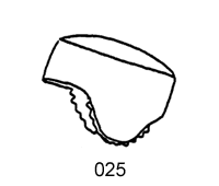 025