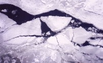 冬は凍るバルト海の氷を砕き進む船